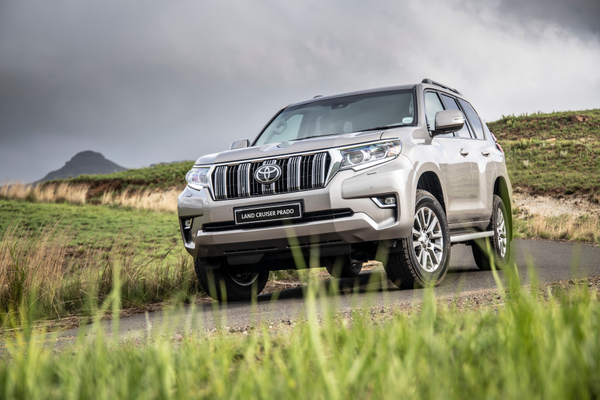 lifewithplants 　LAND CRUISER PRADO clxvyai5y06uqmxakiwa20bpv-lc-