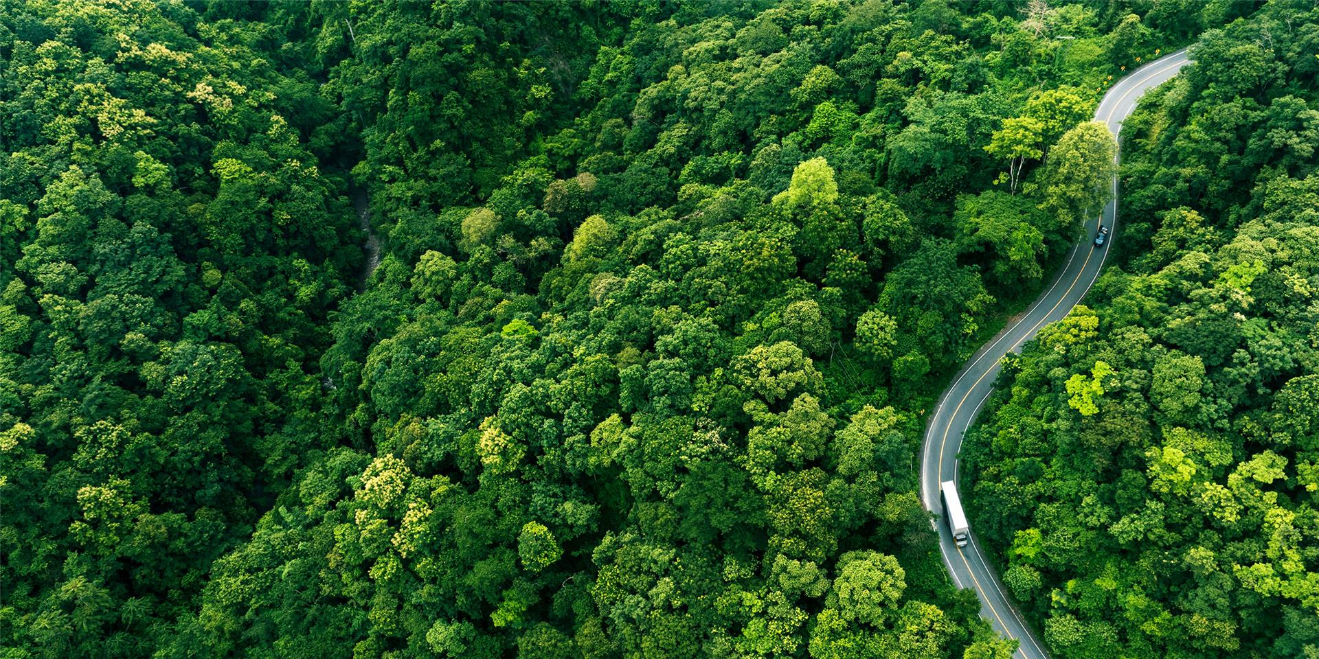 Customer Service Background