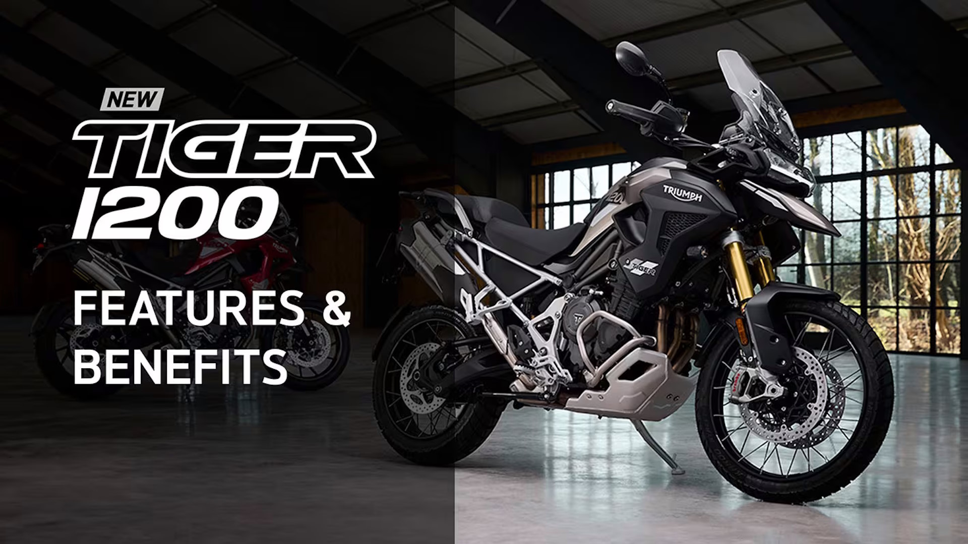 Adventure Motorcycles - Tiger-1200-Range_3136