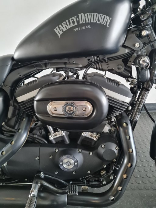 used harley davidson sportster 883 for sale