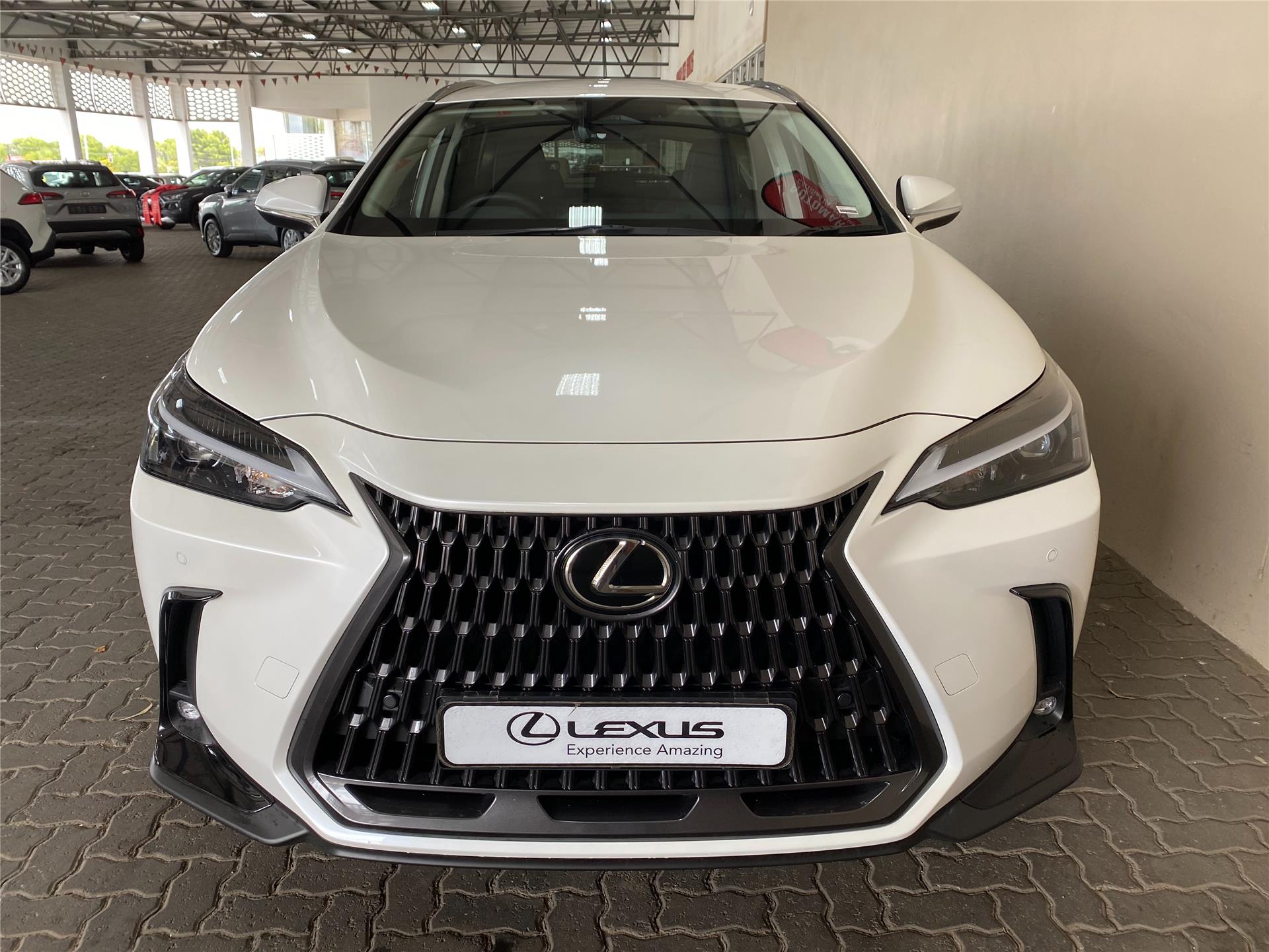 Demo 2024 Lexus NX for sale in Bloemfontein Free State ID 76E202763