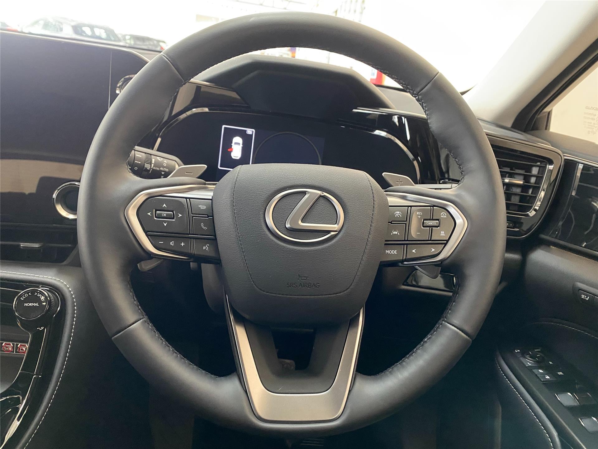 Demo 2024 Lexus NX for sale in Bloemfontein Free State ID 76E202763