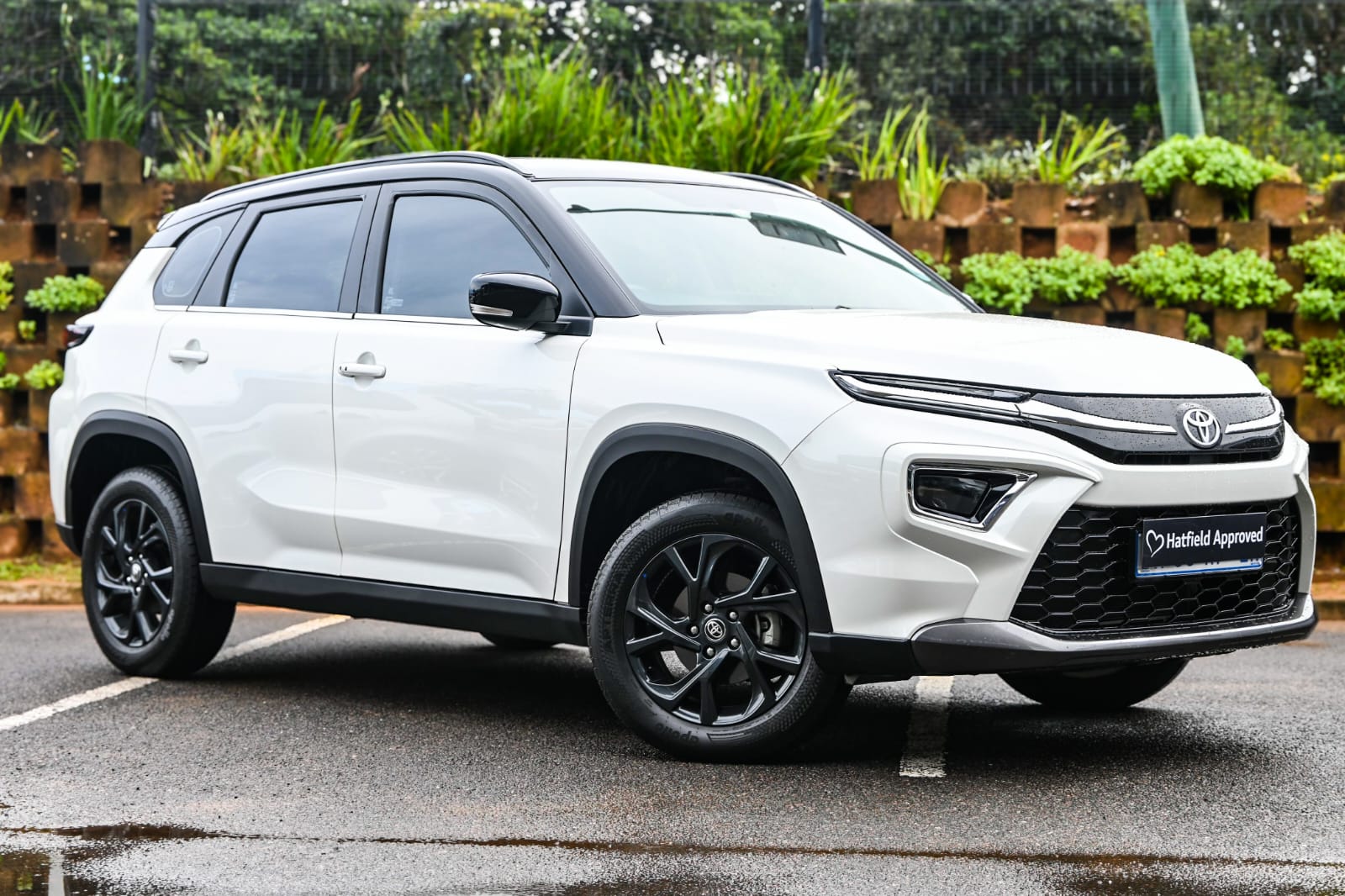 2024 Toyota Urban Cruiser  for sale - UF71381