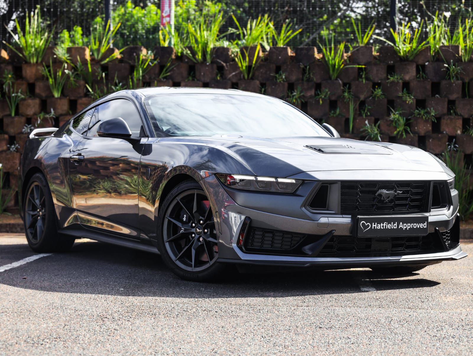 2025 Ford Mustang Dark Horse  for sale - UF71400
