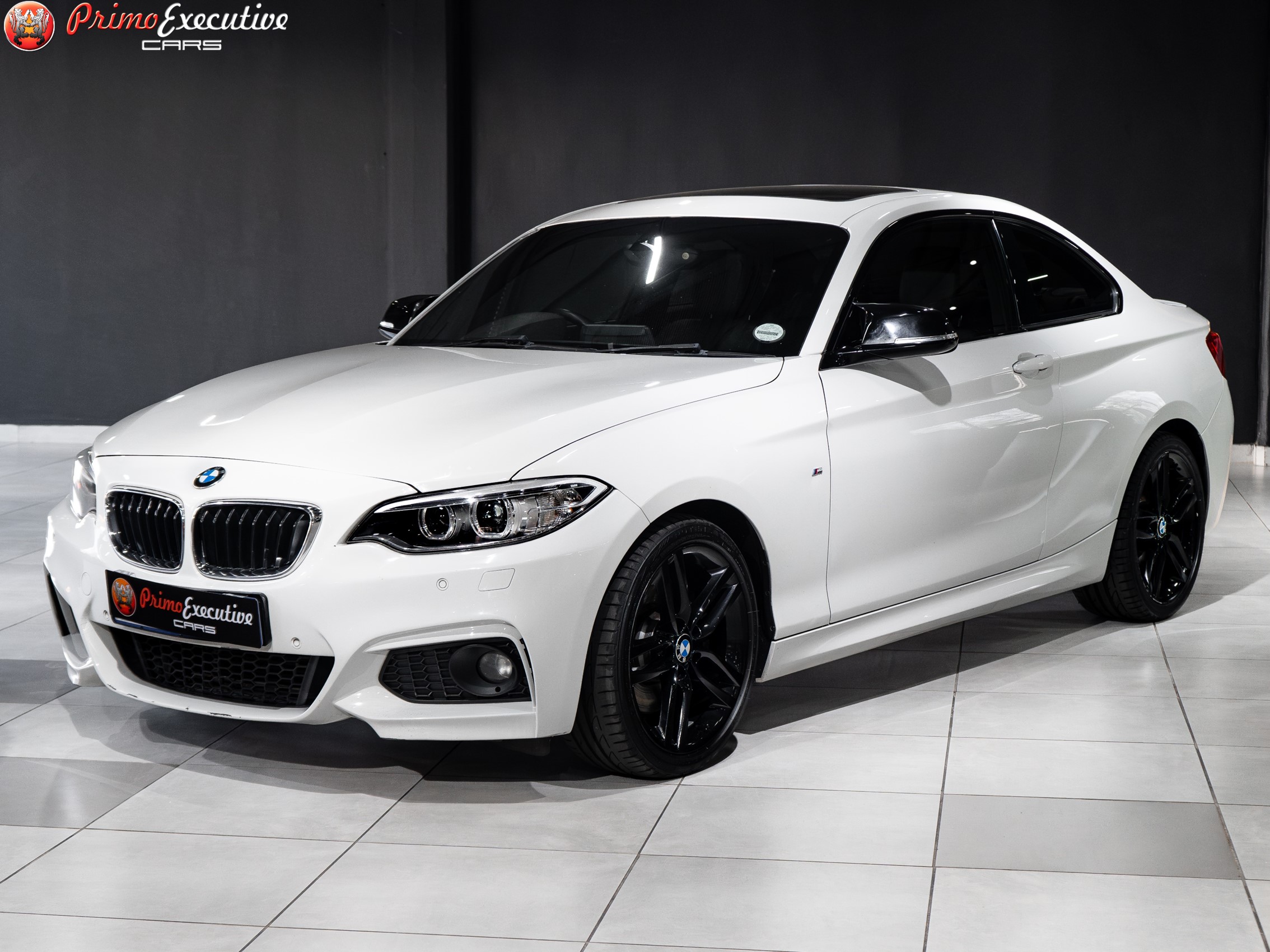 2016 BMW 2 Series  for sale - 511113