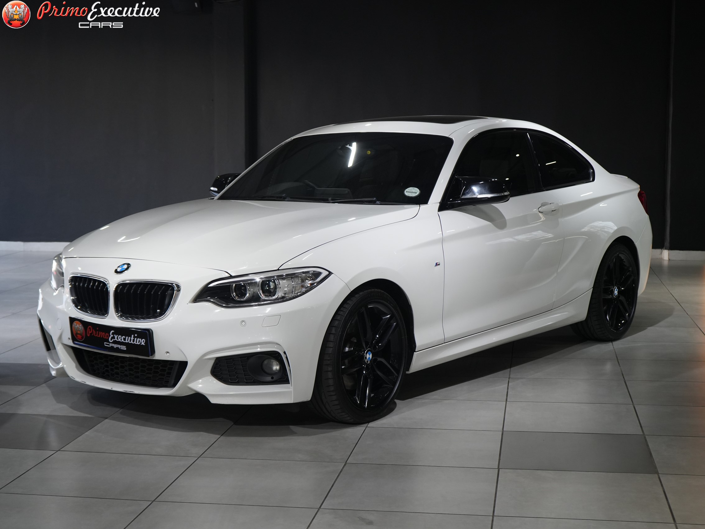 2016 BMW 2 Series  for sale - 511113