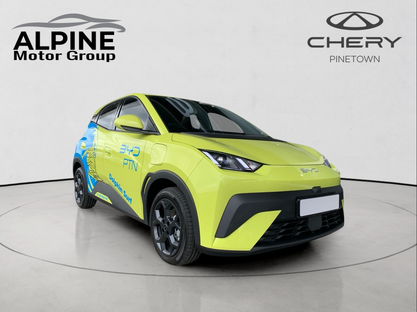 2025 BYD Dolphin Surf  for sale - 327553/1