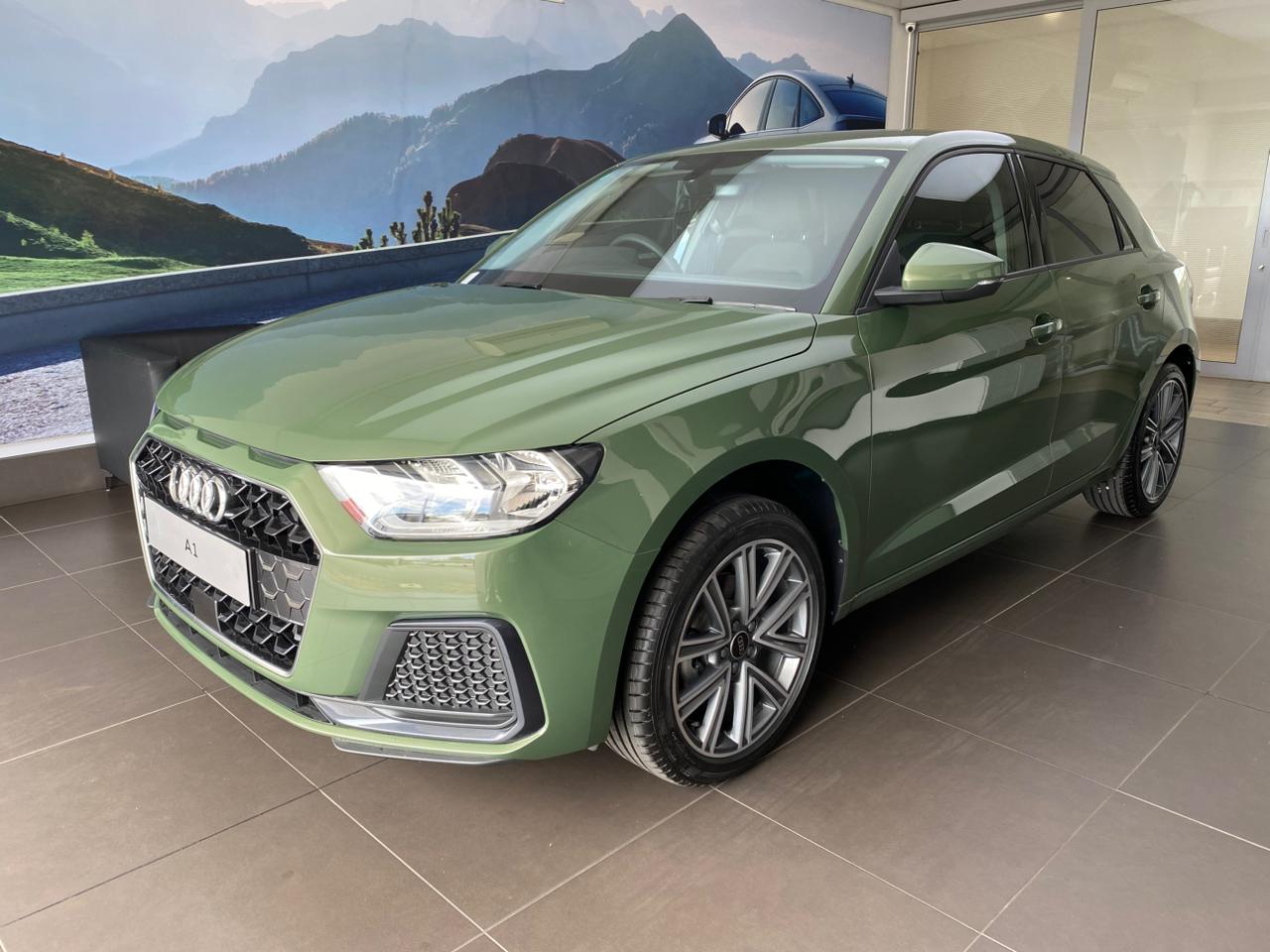 2025 Audi A1  for sale - 0489PAS018482