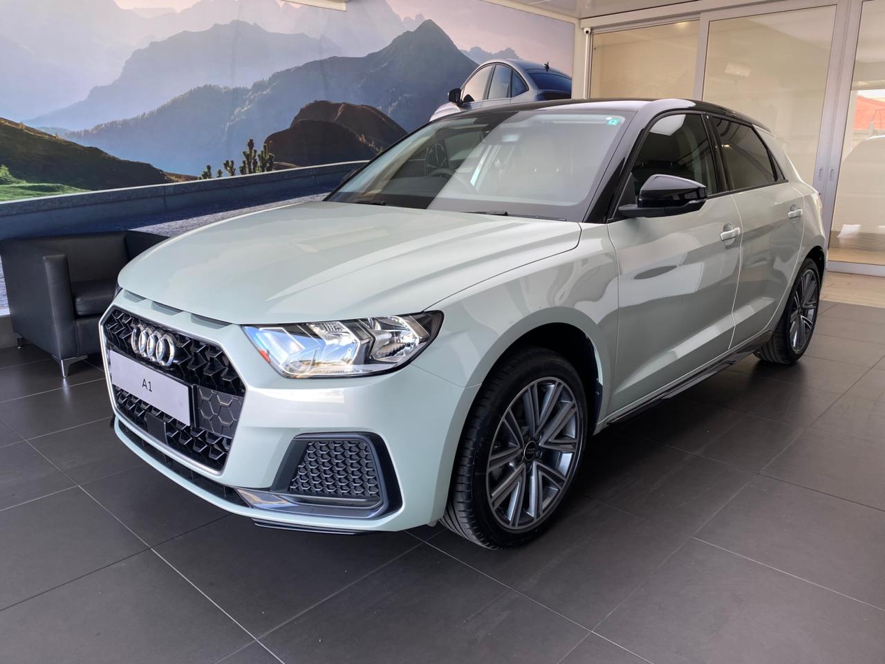 2025 Audi A1  for sale - 0489PAS018154