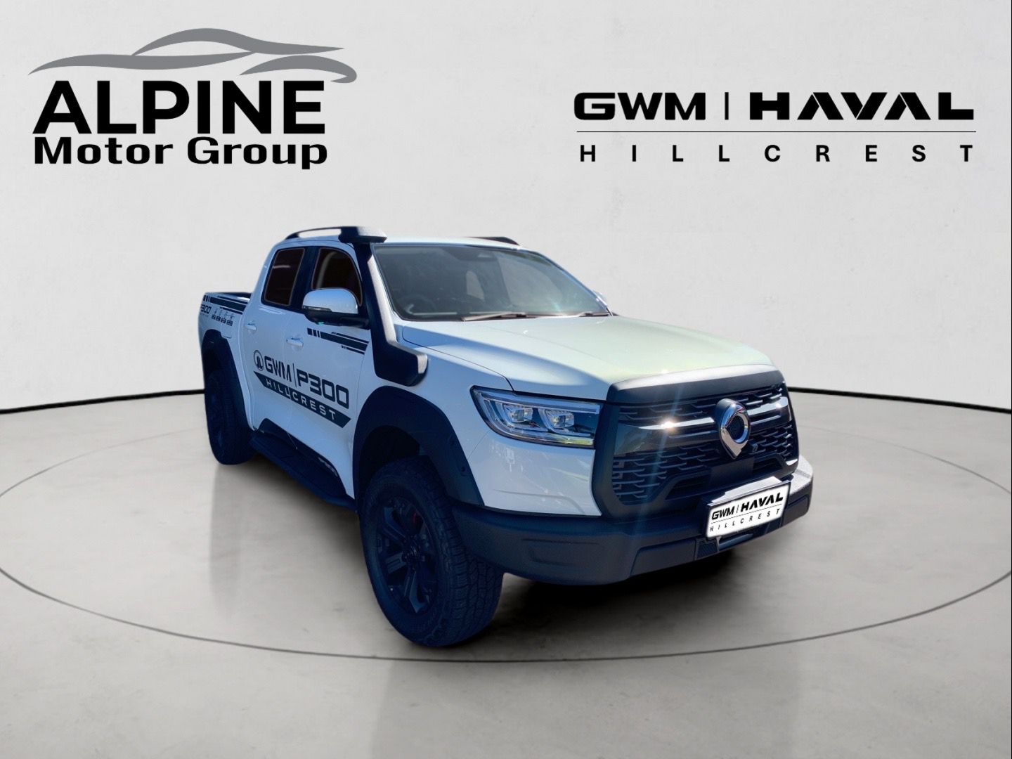 2025 GWM P300  for sale - 330129