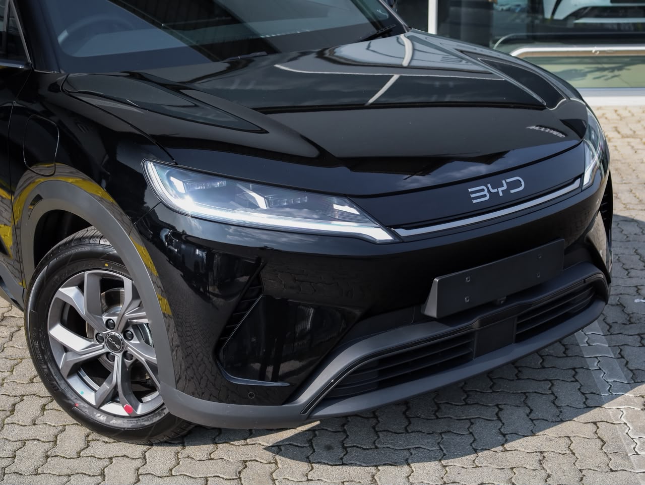 2026 BYD